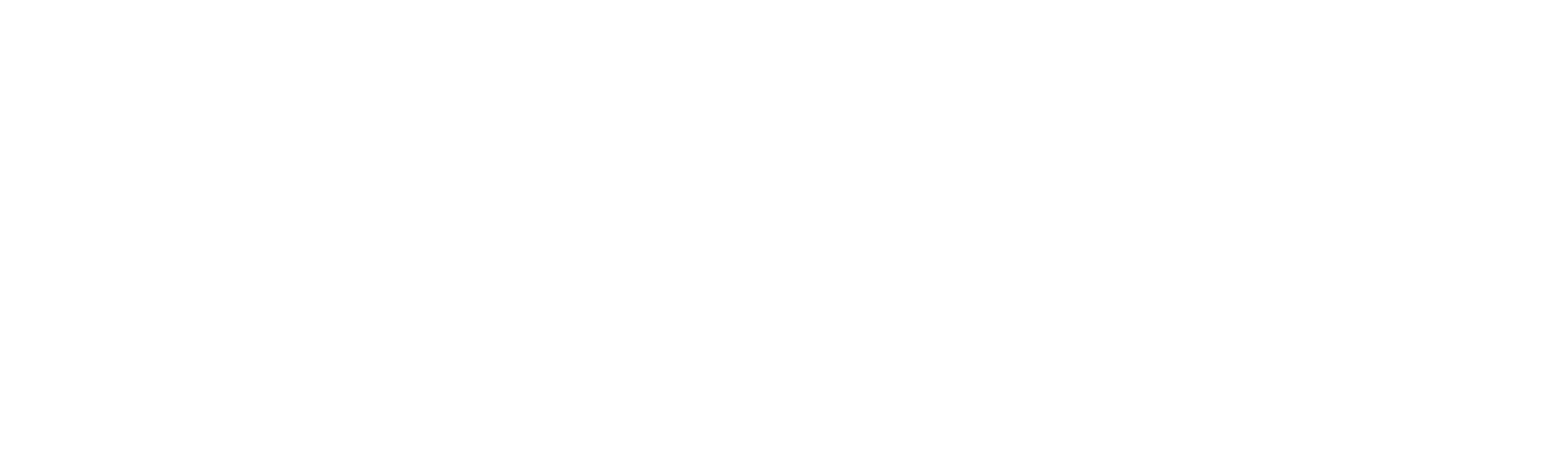 Investoro_2021_white